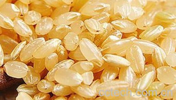 糙米的营养价值 糙米的功效与作用-0