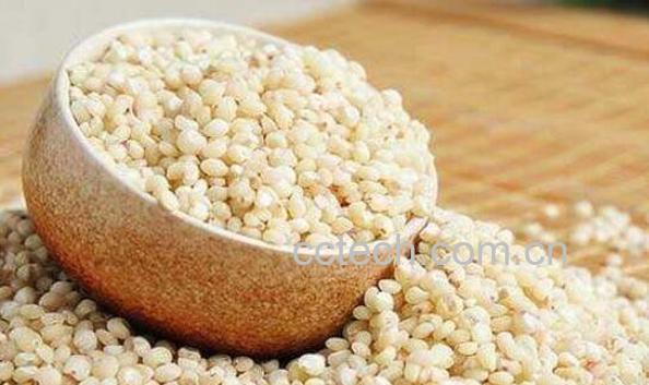 高粱米的营养价值 吃高粱米的好处-1