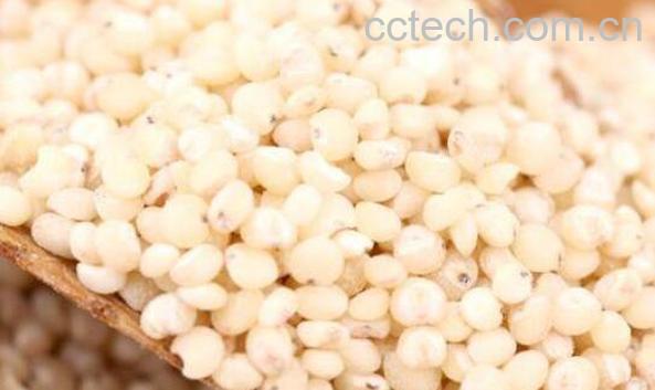 高粱米怎么吃 高粱米的正确吃法-0