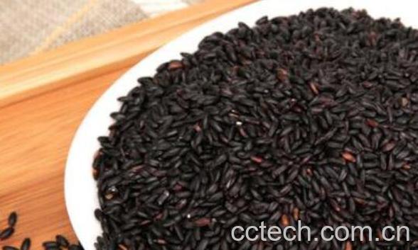 黑米的功效与作用 黑米的吃法-0