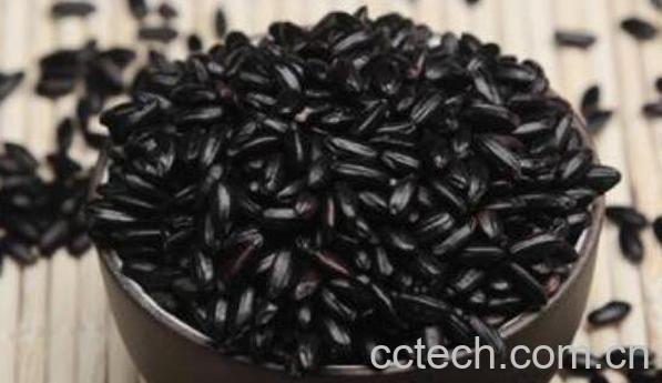 黑米的功效与作用 黑米的吃法-1