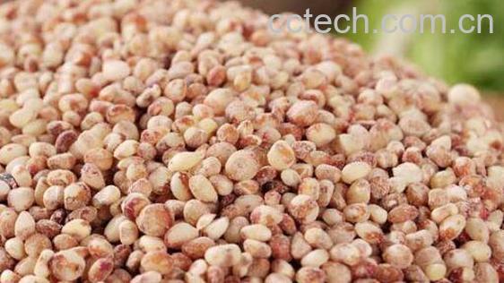 高粱米怎么吃 高粱米的食用方法-0