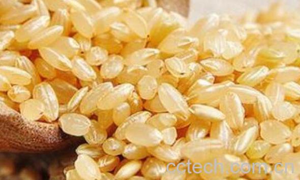 糙米的功效与作用及营养价值-0