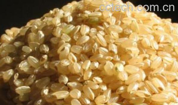 糙米的功效与作用及营养价值-1