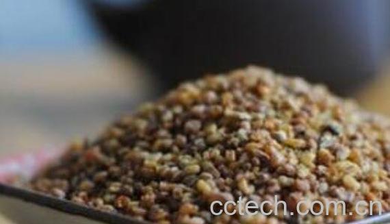 苦荞麦面的功效与作用-0