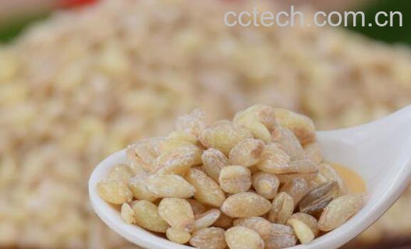 炒麦仁的功效与作用-1