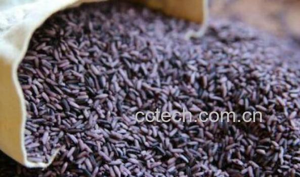 紫米怎么吃 紫米的食用方法-0