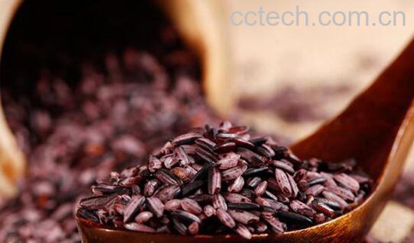 墨江紫米的功效与作用-1