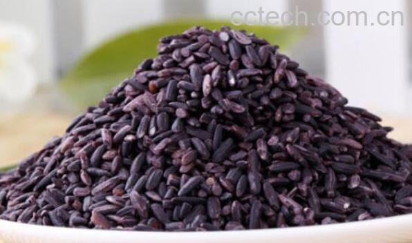 墨江紫米怎么吃 墨江紫米有什么营养-0