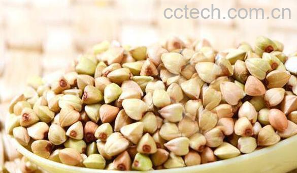  荞麦米的功效与作用及副作用-0