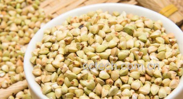  荞麦米的功效与作用及副作用-1