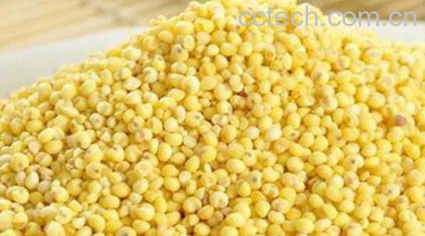 大黄米的功效与作用-0