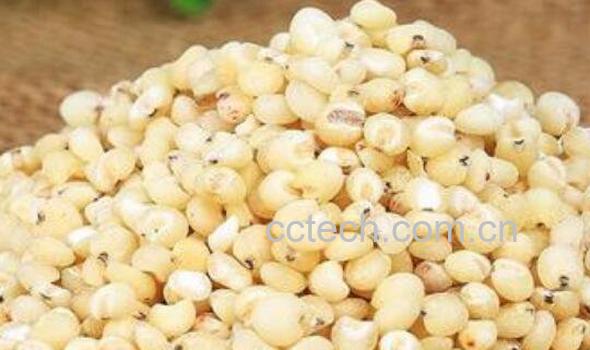 高粱米的功效与作用及禁忌-1