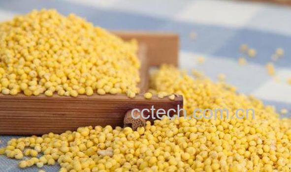 大黄米的功效与作用-1