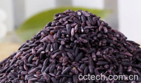 紫米的功效与作用 紫米的食用禁忌-1