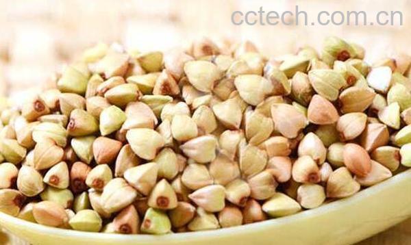 荞麦的功效与作用及营养价值-1