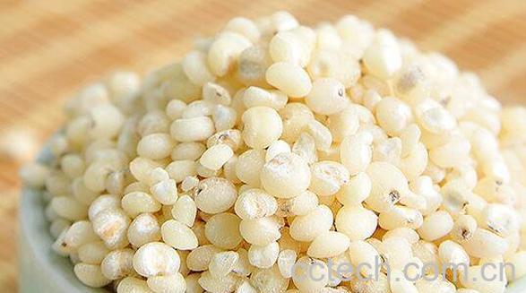 吃高粱米的好处和坏处-0