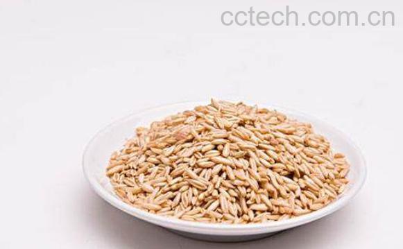 燕麦粒的功效与作用-1