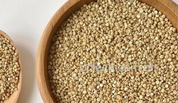 藜麦的功效与作用 藜麦的副作用-0
