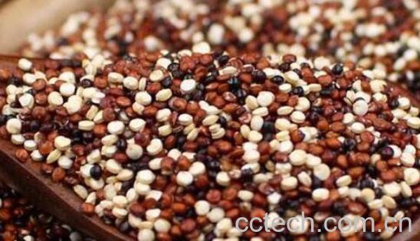 三色藜麦的功效与作用-1