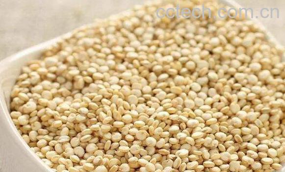 藜麦的功效与作用-0