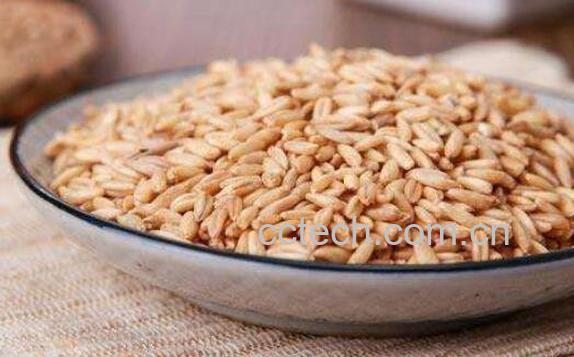 燕麦米怎么吃 燕麦米的食用方法教程-0