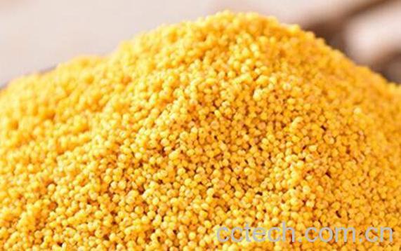  小黄米的功效与作用-0