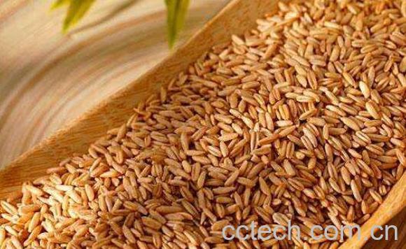 燕麦米怎么吃 燕麦米的食用方法教程-1