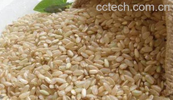 糙米的功效与作用及食用方法-0