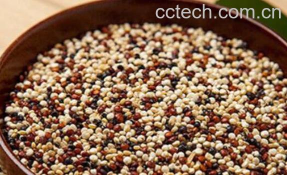 三色藜麦的功效与作用-1