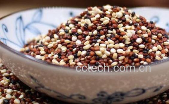 三色藜麦的功效与作用-0