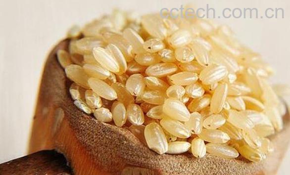 糙米的功效与作用及食用方法-1