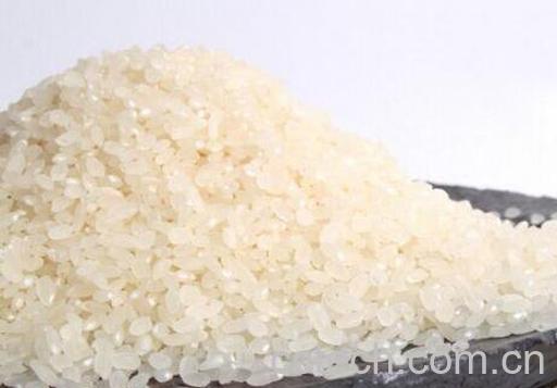 粳米和大米的区别 粳米和大米的食用禁忌-1
