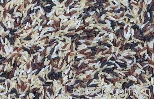 怎么保存米 如何保存米不生虫-1