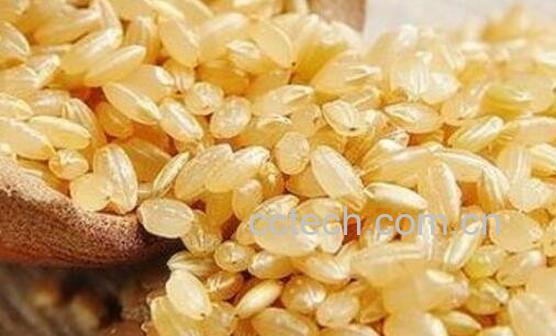 糙米怎么吃 糙米的吃法技巧-0