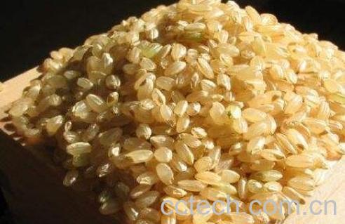 糙米怎么吃 糙米的吃法技巧-1