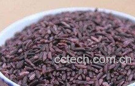 紫米与什么食物相克 紫米的功效-0