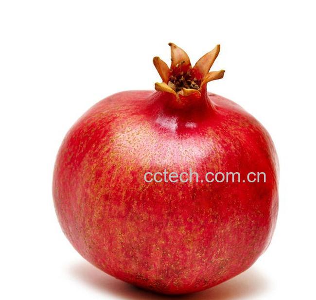 果蔬百科石榴-0