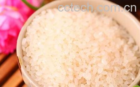 粳米是什么米 粳米的功效与作用-1