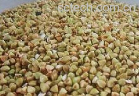 甜荞麦的副作用和使用禁忌-1