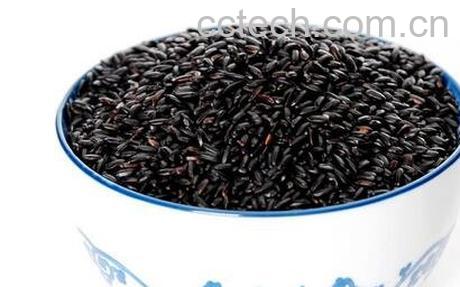 黑米的功效与作用 黑米的药用价值-0