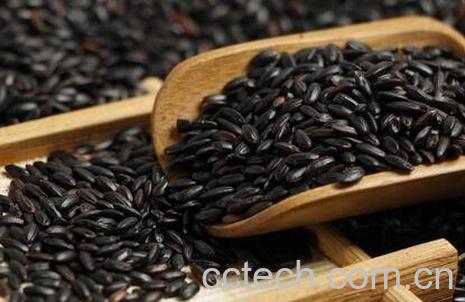 黑米的功效与作用 黑米的药用价值-1