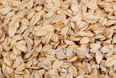 燕麦片的功效与作用 燕麦片的药用价值-1