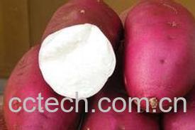 果蔬百科红薯-0