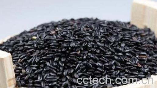  黑米掉色是怎么回事-0