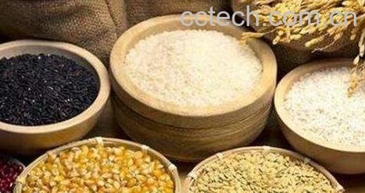 常见粗粮有哪些 -0