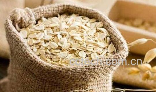 野燕麦的功效与作用-0