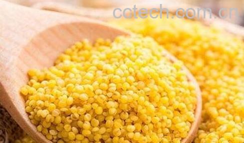 小米与黄米的区别 -0