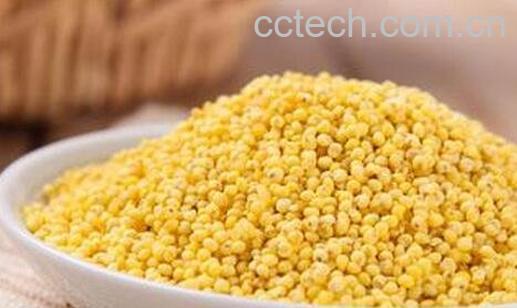 黄米的功效与作用-0