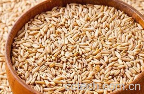 果蔬百科燕麦的功效与作用-0
